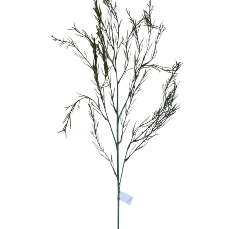 Varas verde pasto