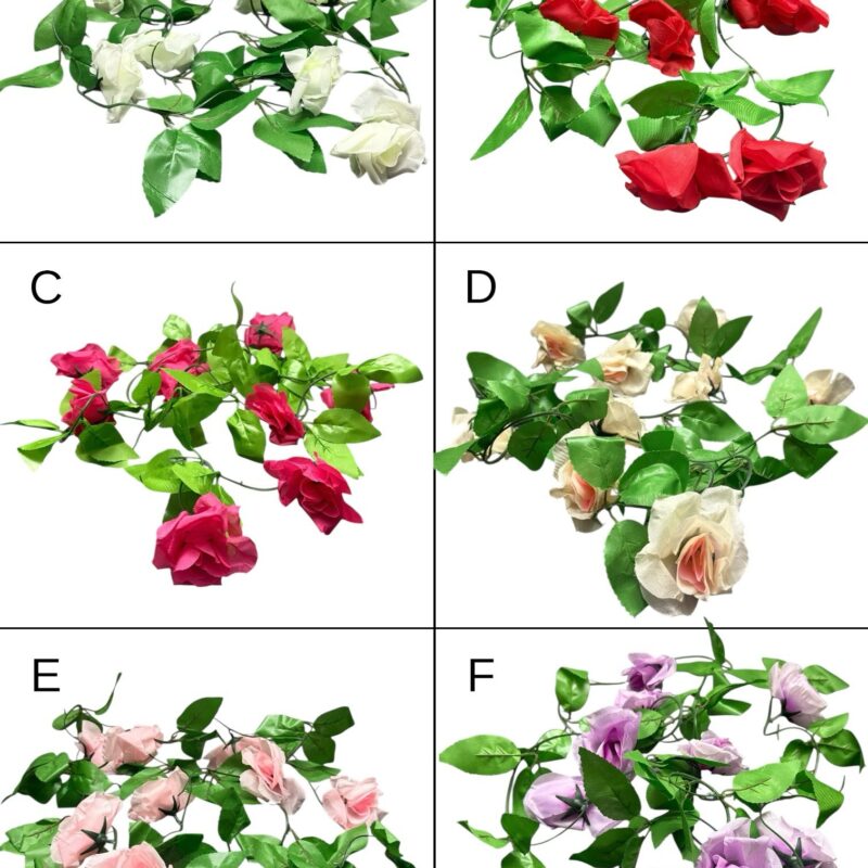 Guías de rosas x2,6m