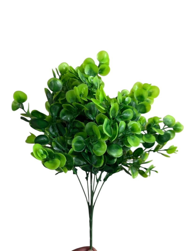 Ramos hojas verdes - Imagen 2
