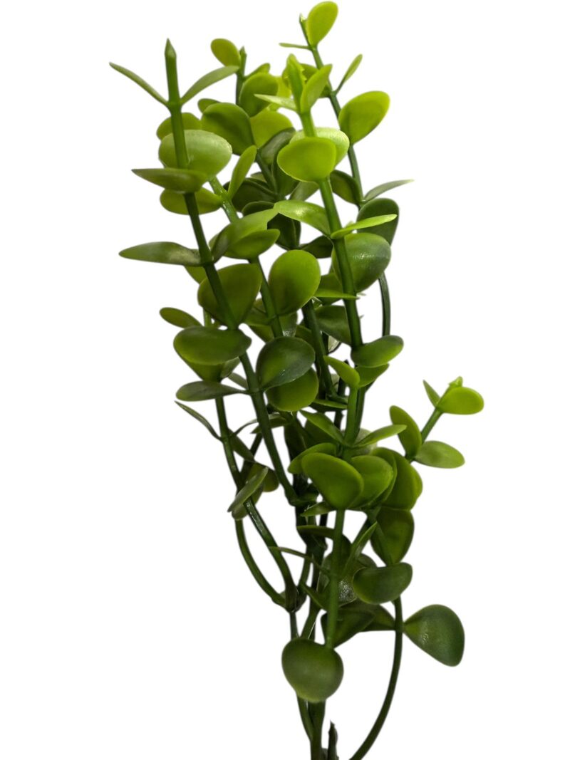 Ramos hojas verdes - Imagen 3