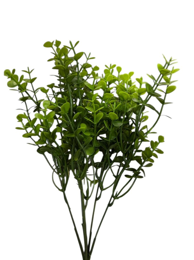 Ramos hojas verdes - Imagen 2