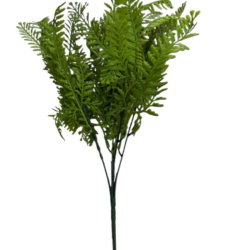 Ramos hojas verdes