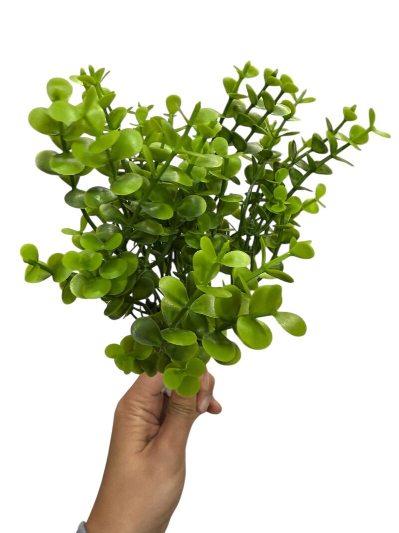 Ramos hojas verdes - Imagen 4